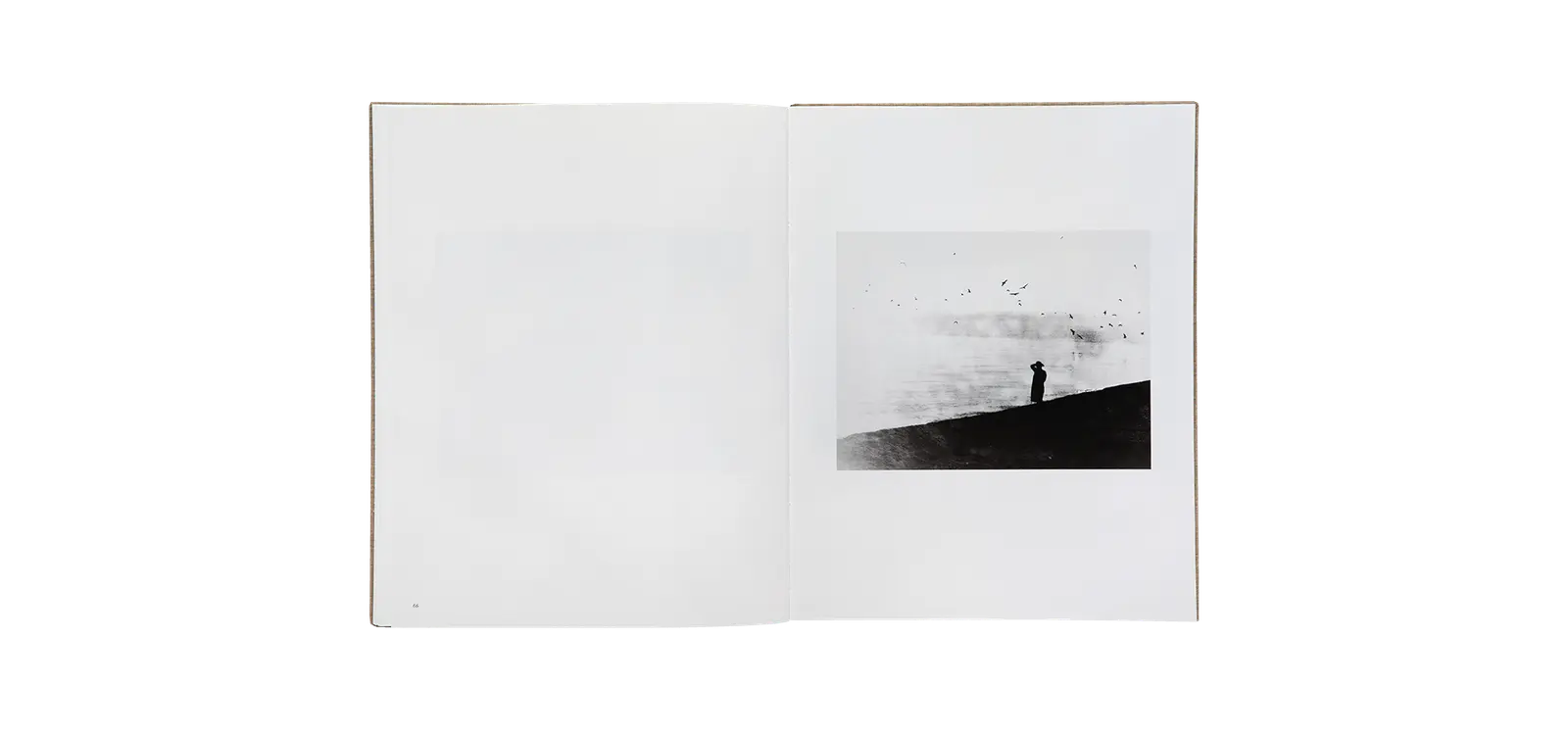 Des oiseaux - Mario Giacomelli image 11