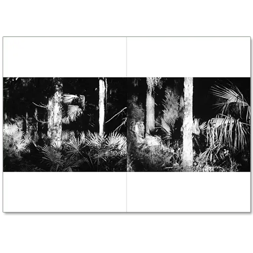 Sunshine State image 2