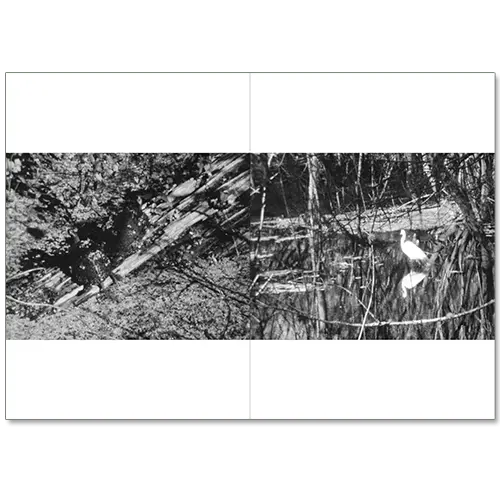 Sunshine State image 4