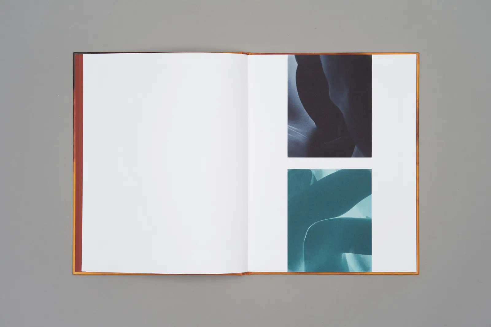 Sound of Dawn image 6