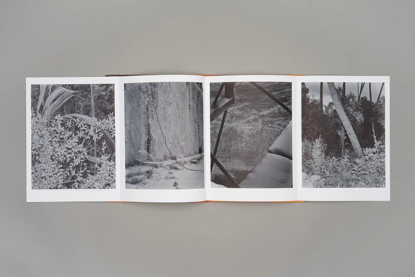 Sound of Dawn image 9