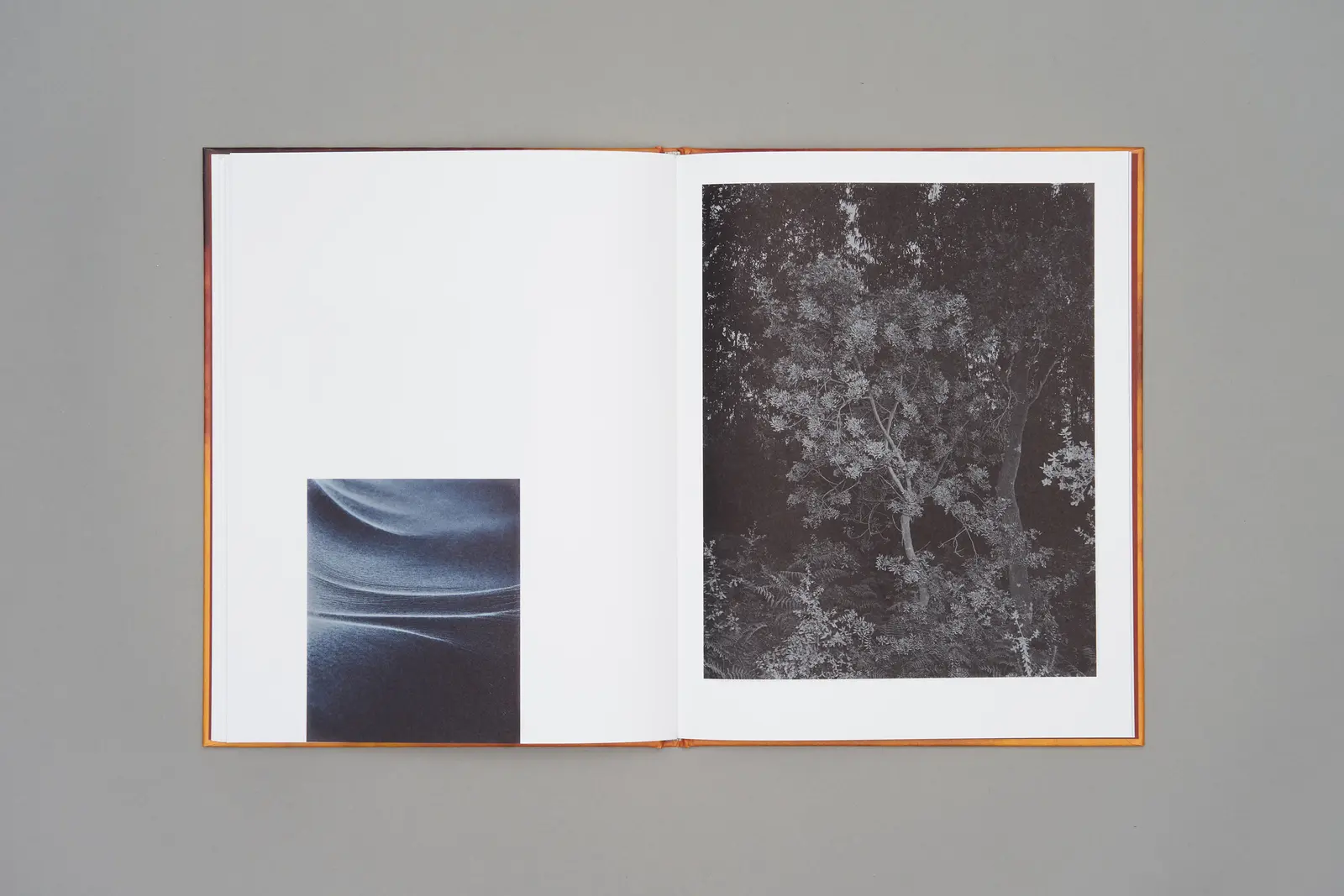 Sound of Dawn image 11