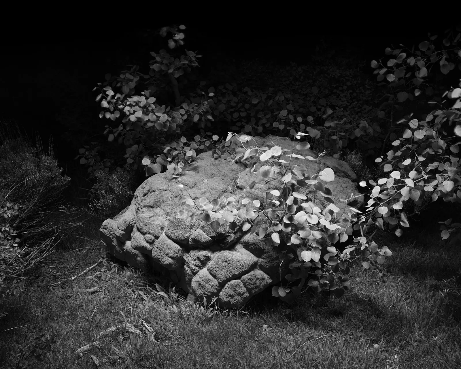 Glass Mountain image 5