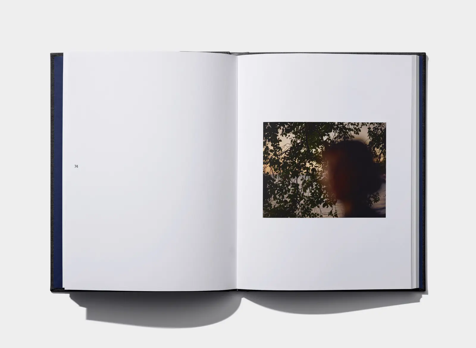 This is a Test image 7