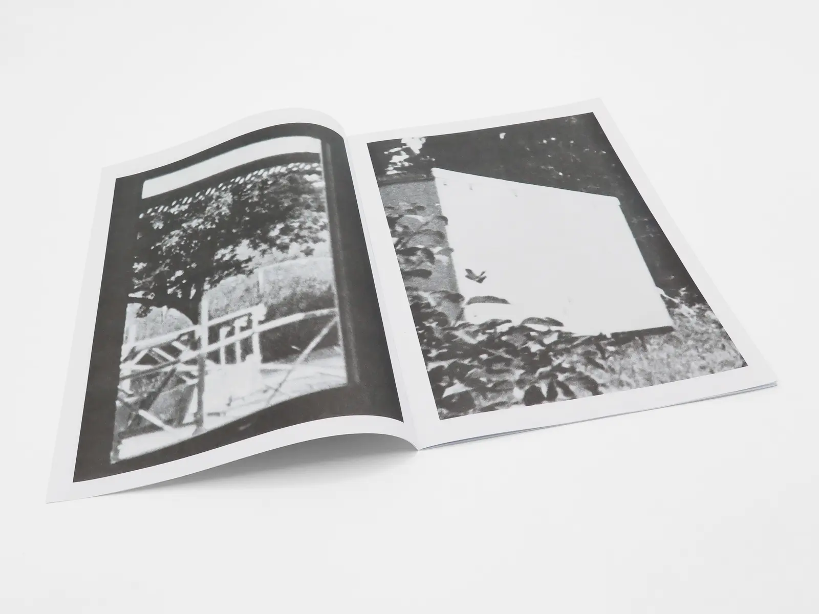 David Schoerner image 2