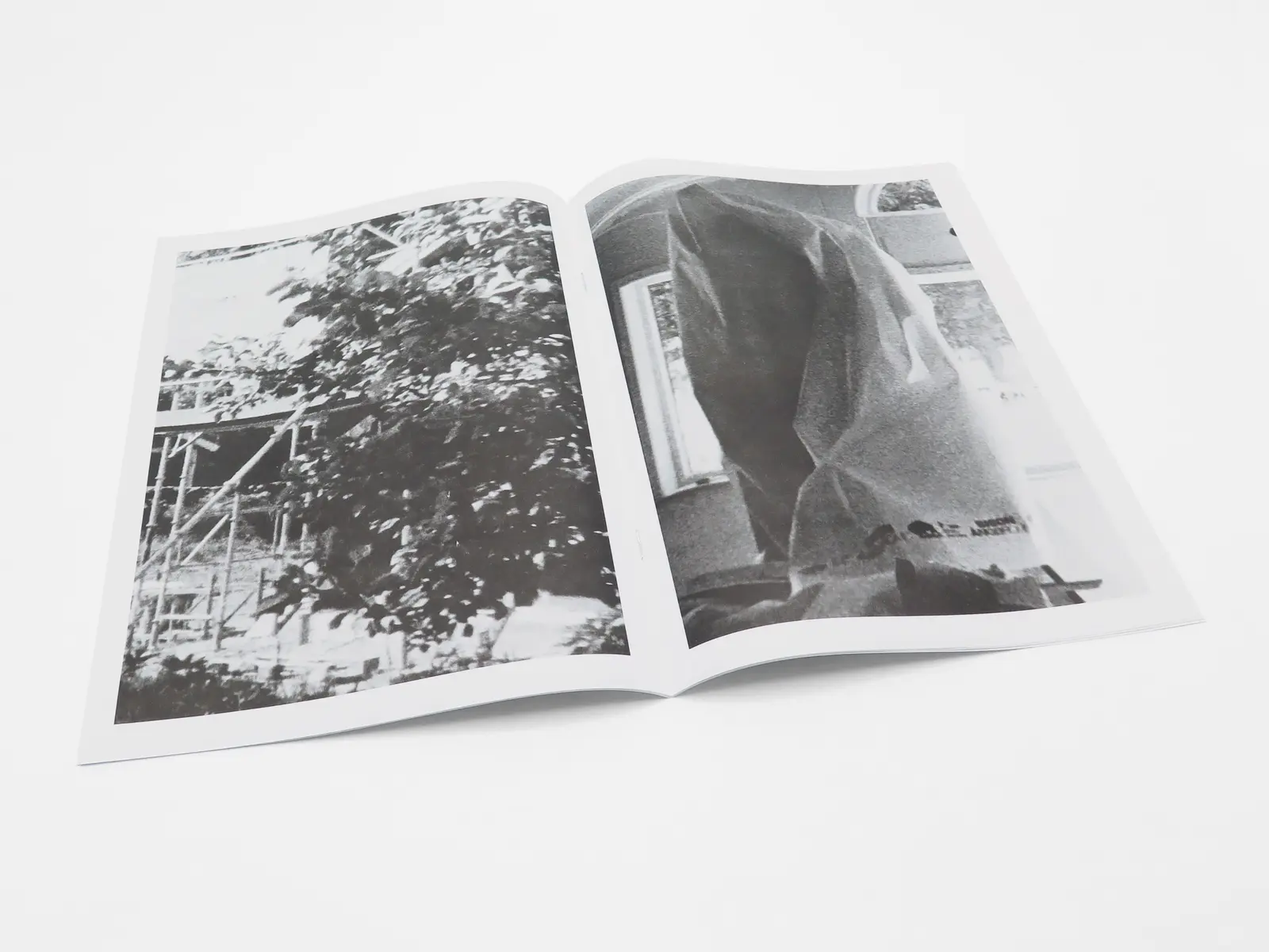 David Schoerner image 3