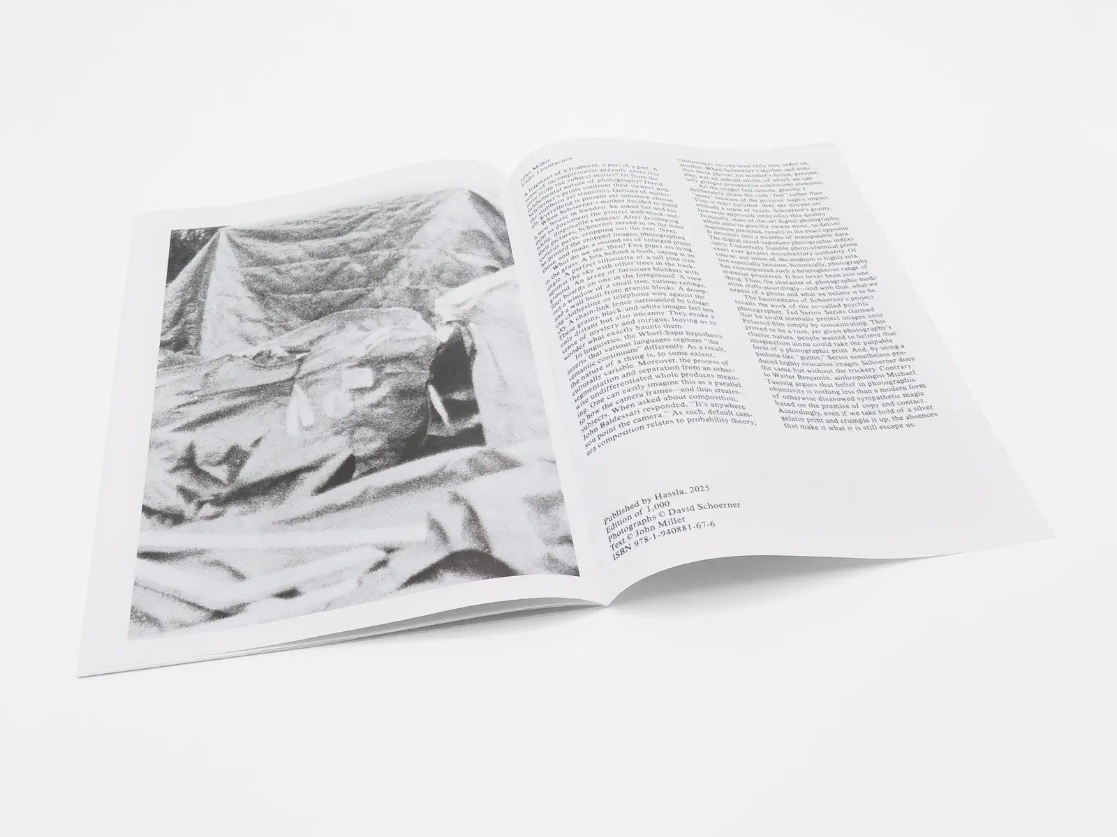 David Schoerner image 4