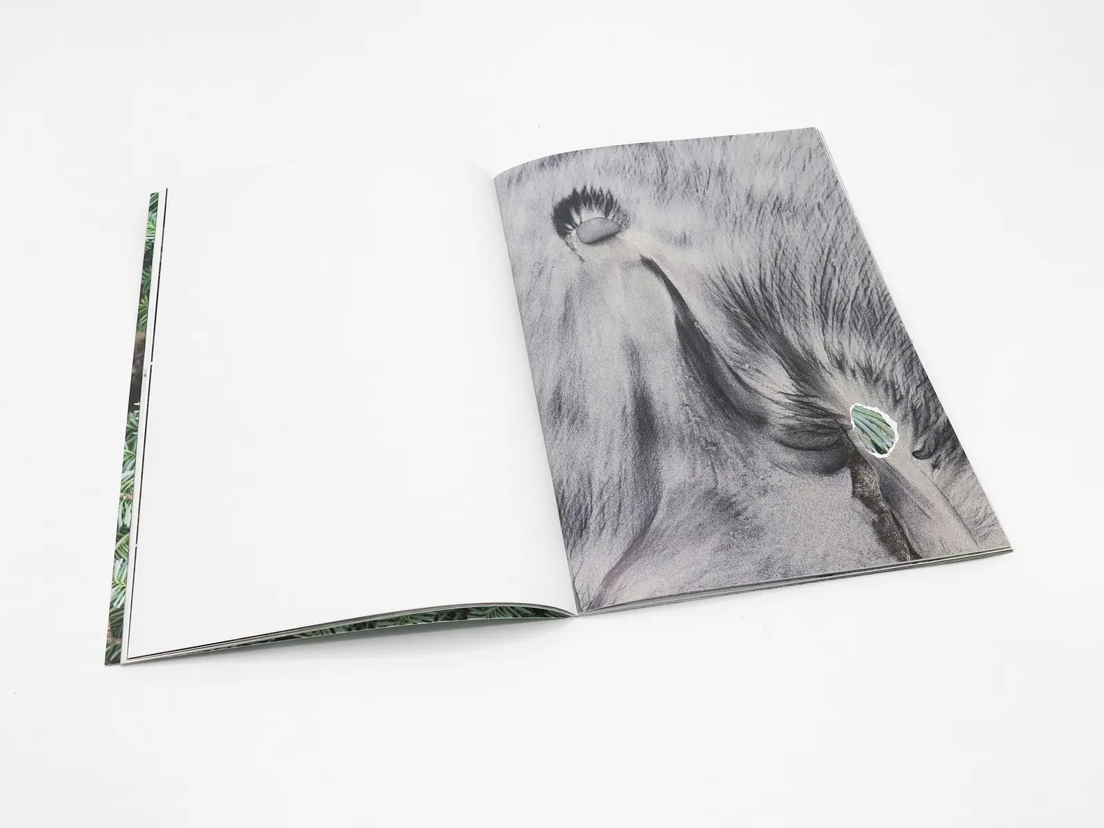 Letha Wilson image 2