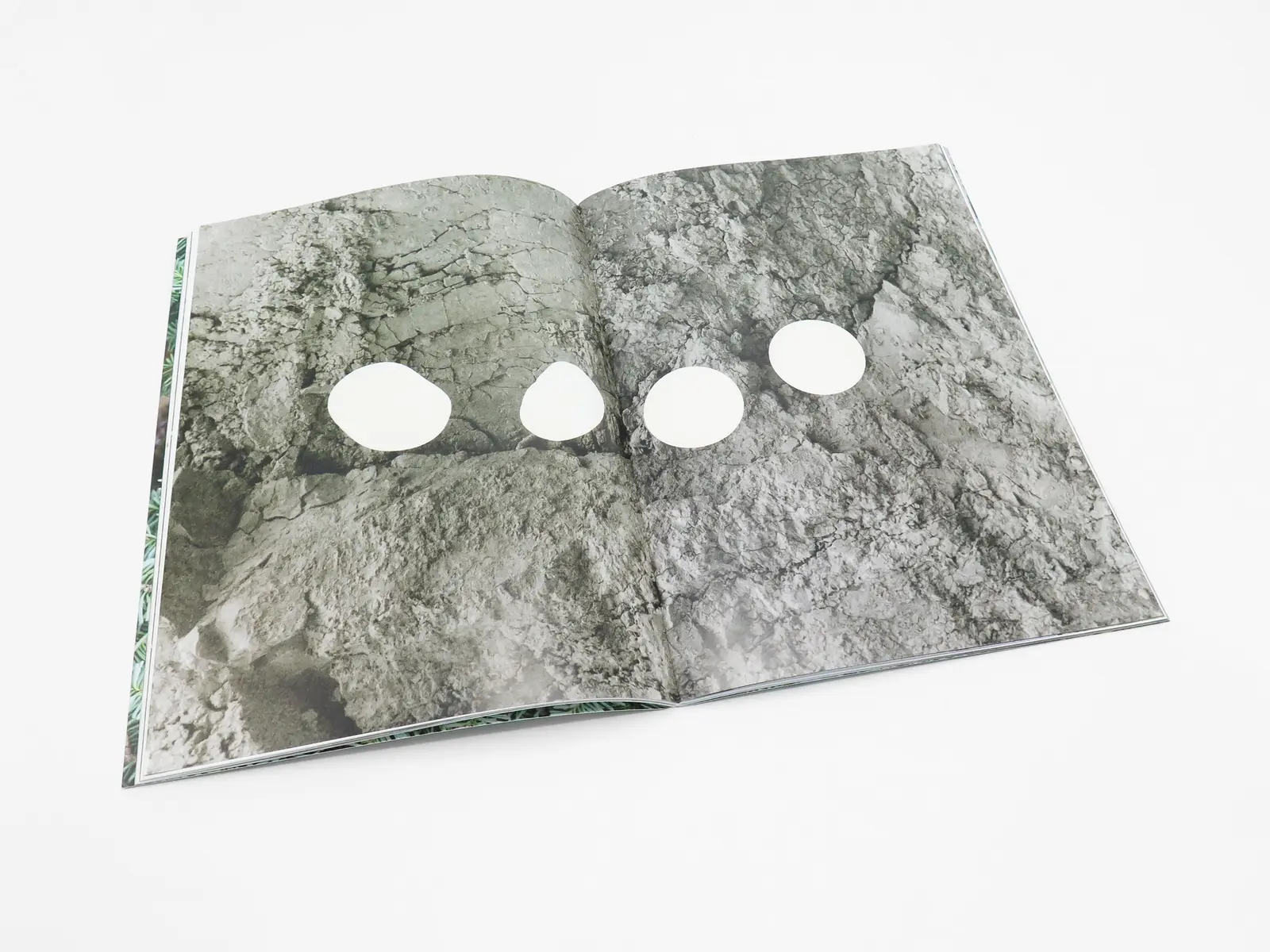 Letha Wilson image 3