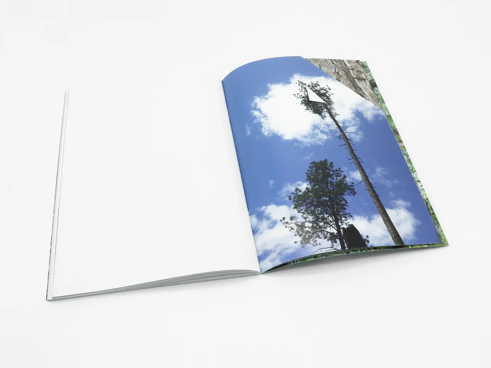 Letha Wilson image 4