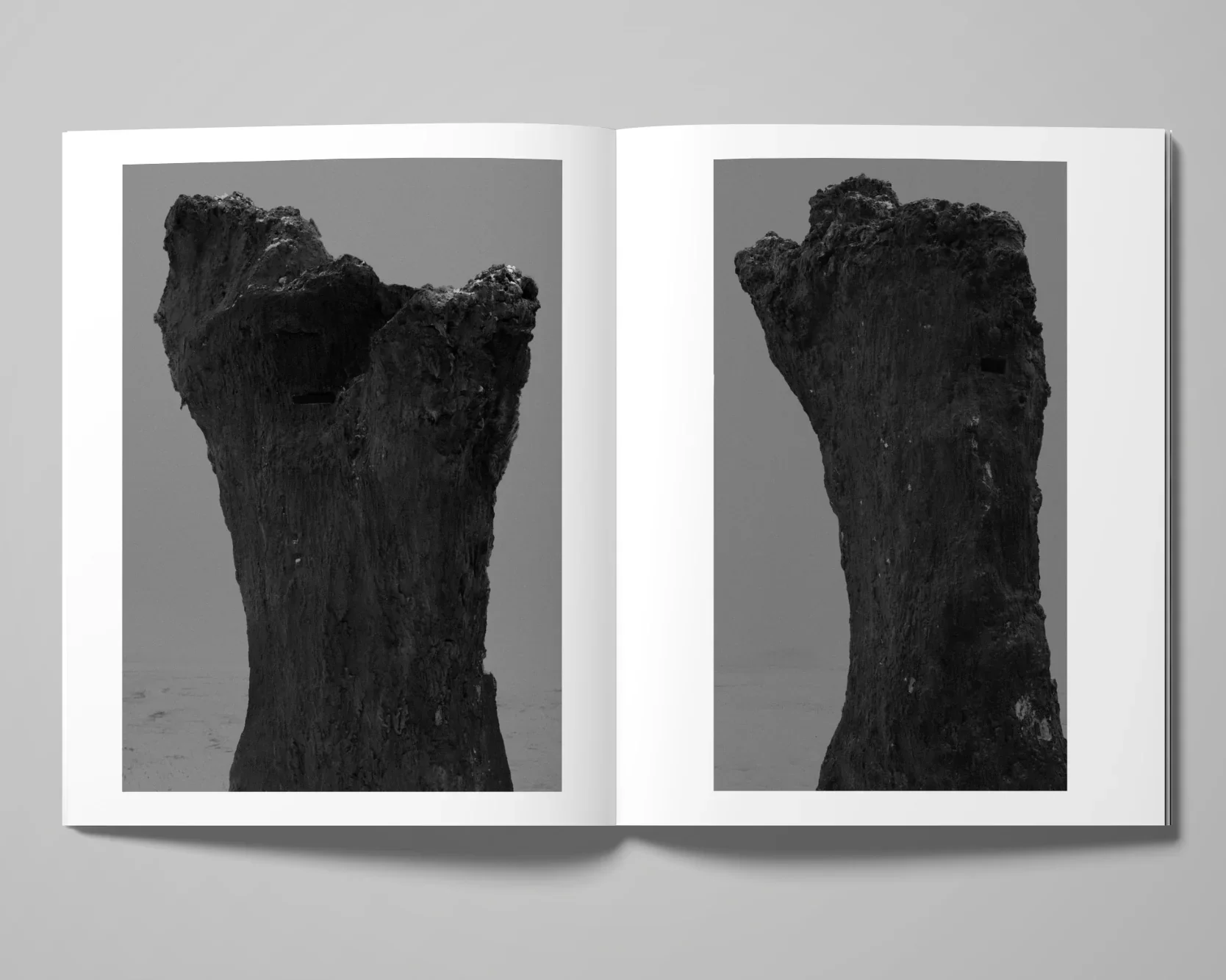 Double Reality image 4