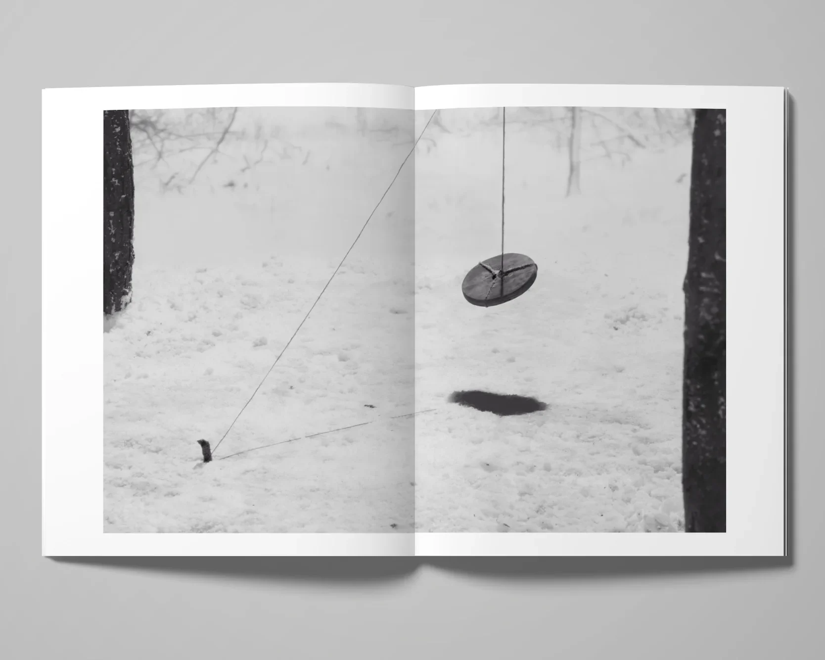 Double Reality image 2