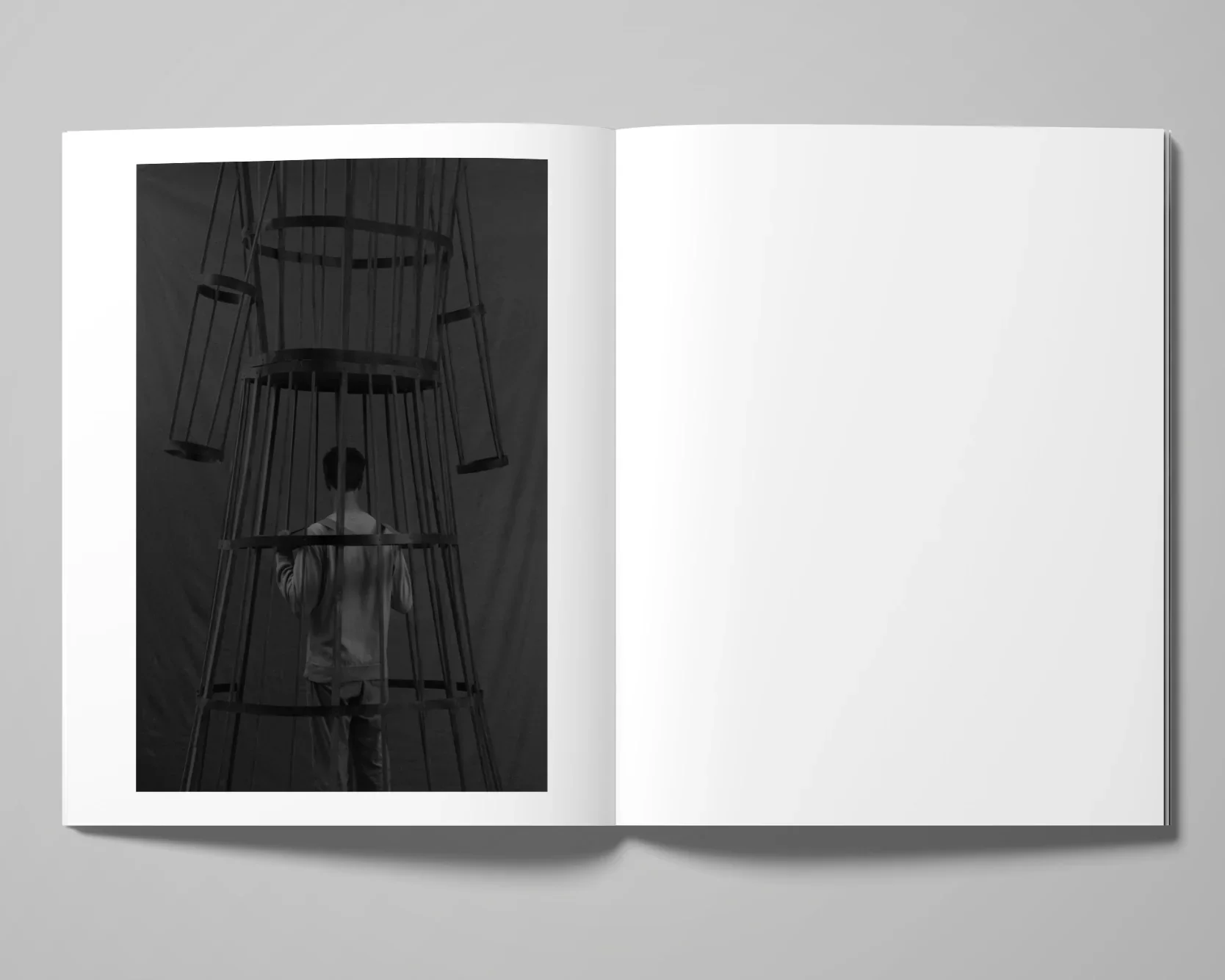 Double Reality image 3