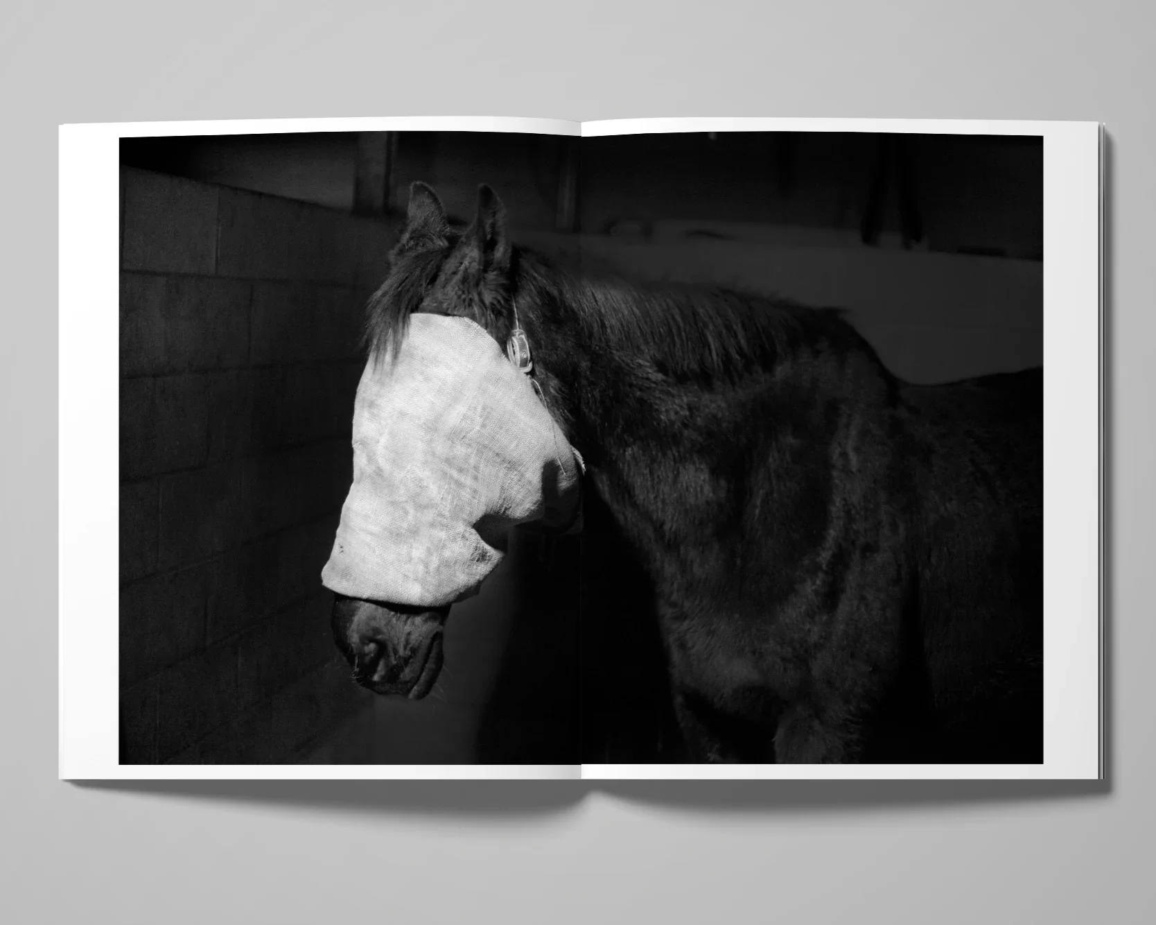 Double Reality image 5