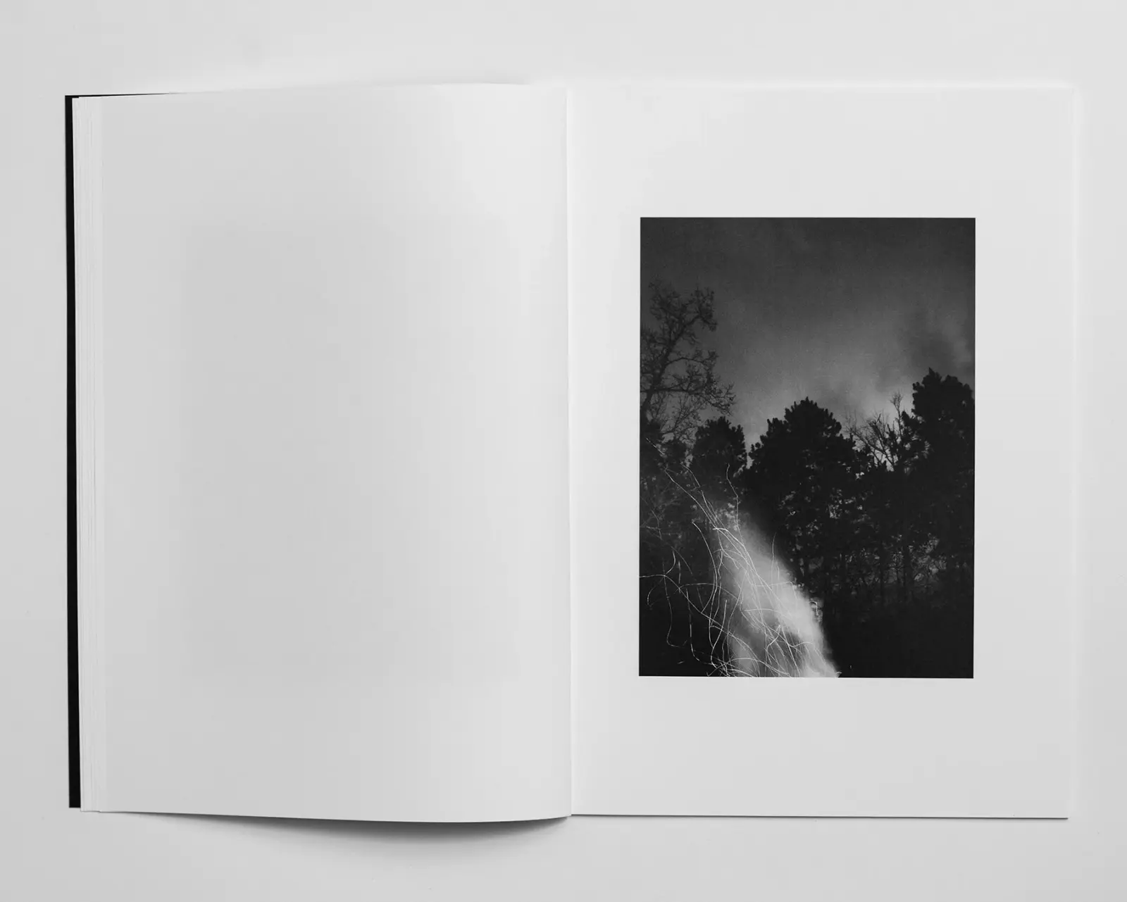 Good Goddamn image 8