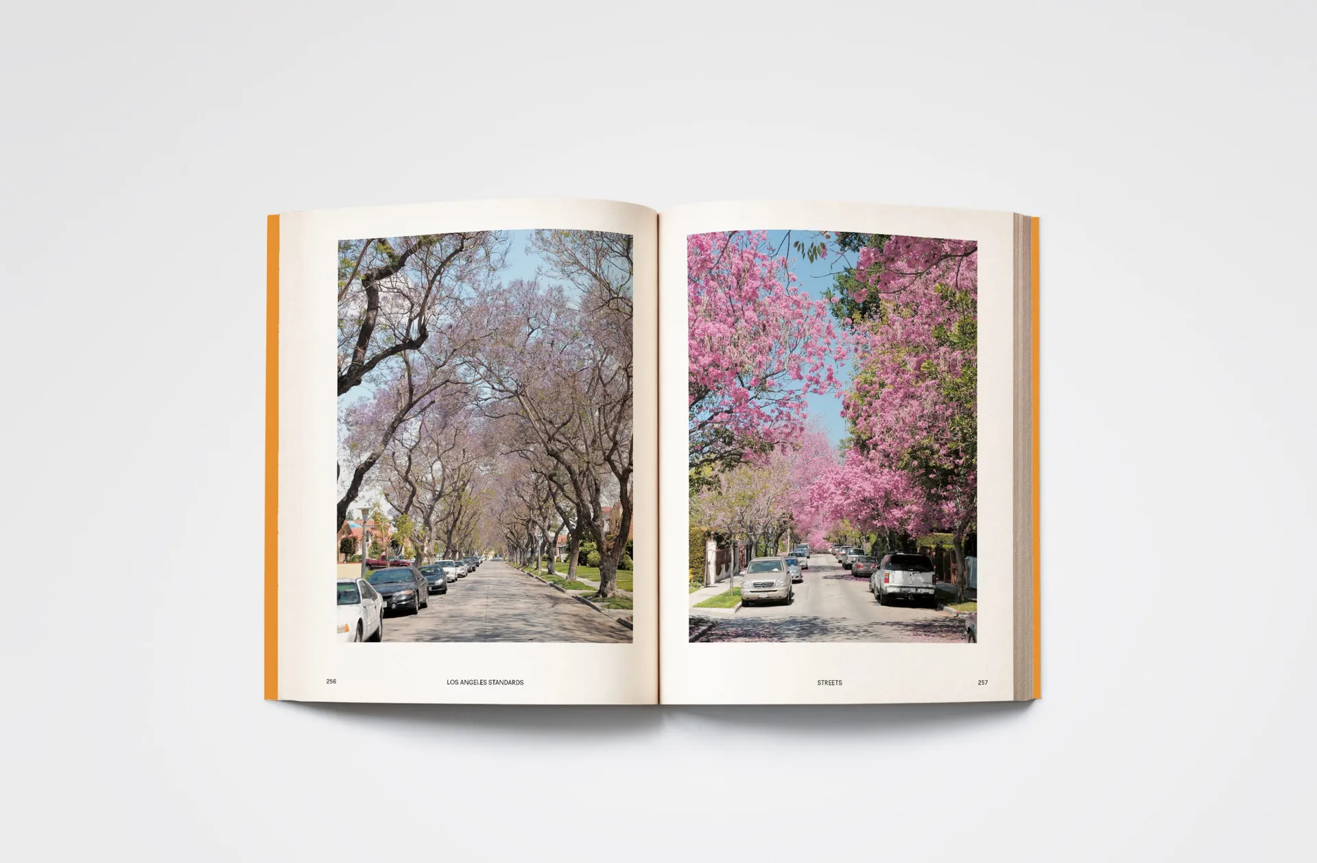 Los Angeles Standards image 6