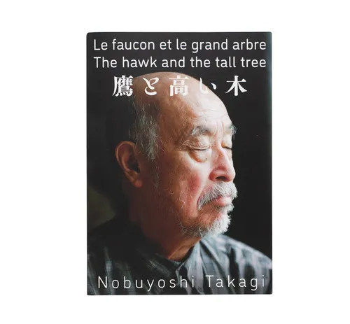 The Hawk and the Tall Tree