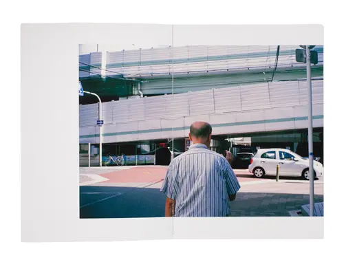 The Hawk and the Tall Tree image 2