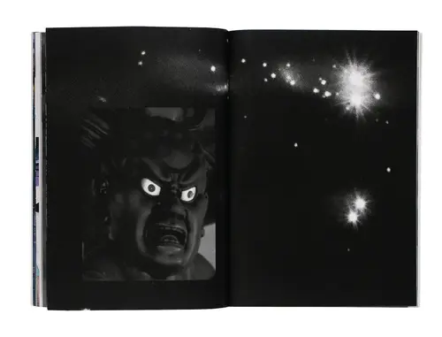 The Hawk and the Tall Tree image 5