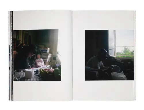 The Hawk and the Tall Tree image 6