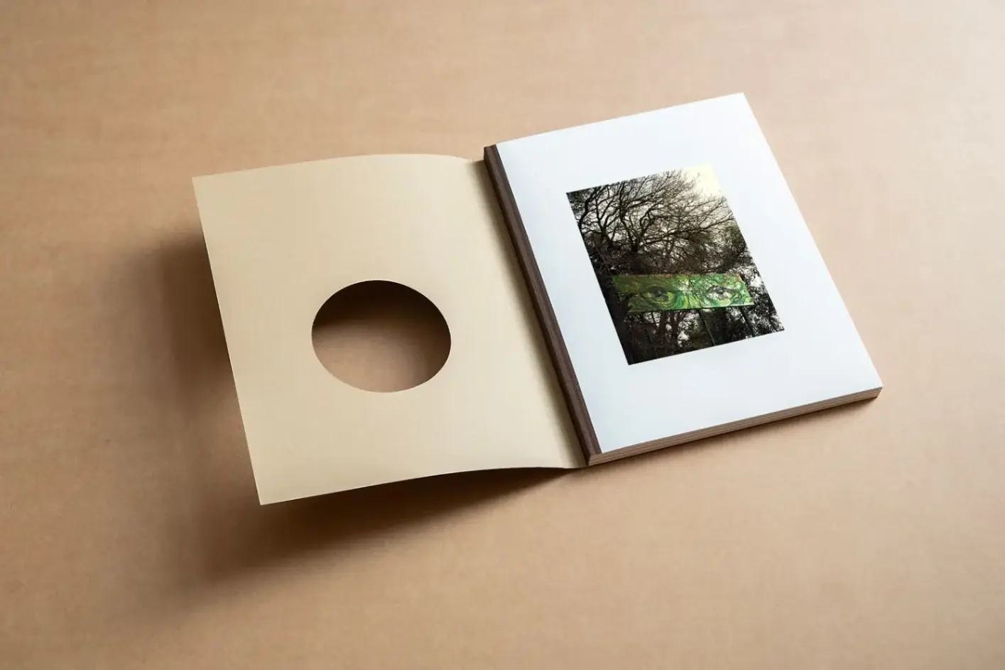 And Into The Forest I Go image 2