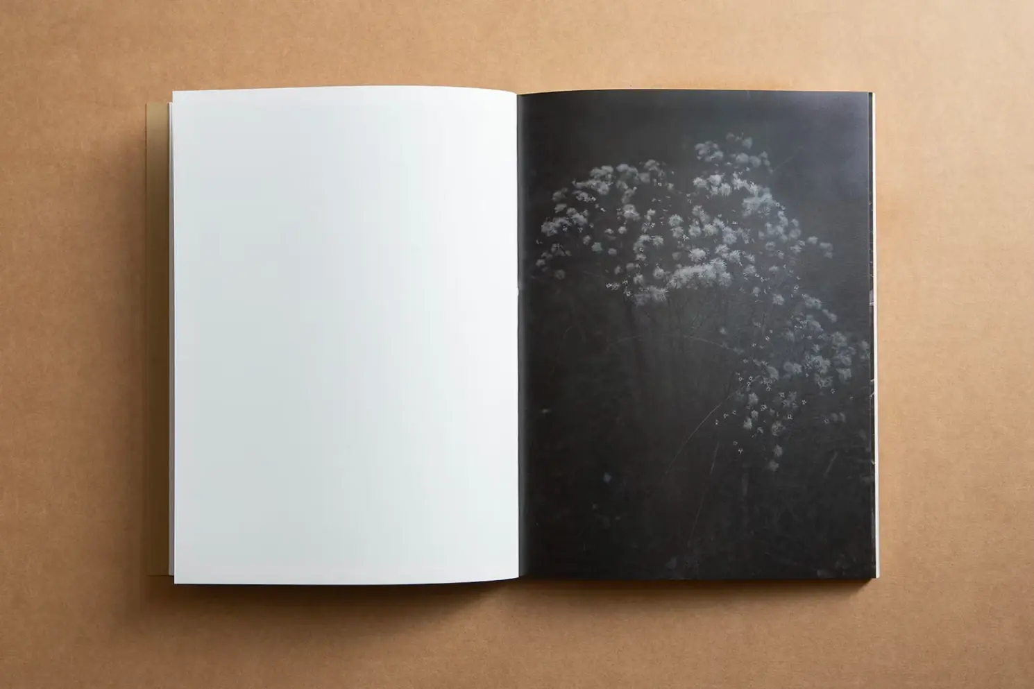 And Into The Forest I Go image 6