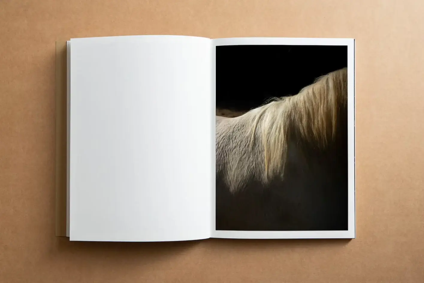 And Into The Forest I Go image 4