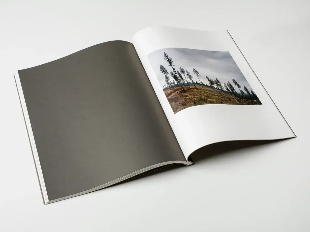 Grays the Mountain Sends image 4