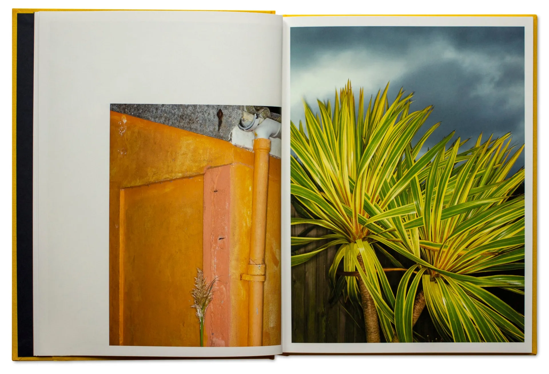 Terre à l’Amende image 3