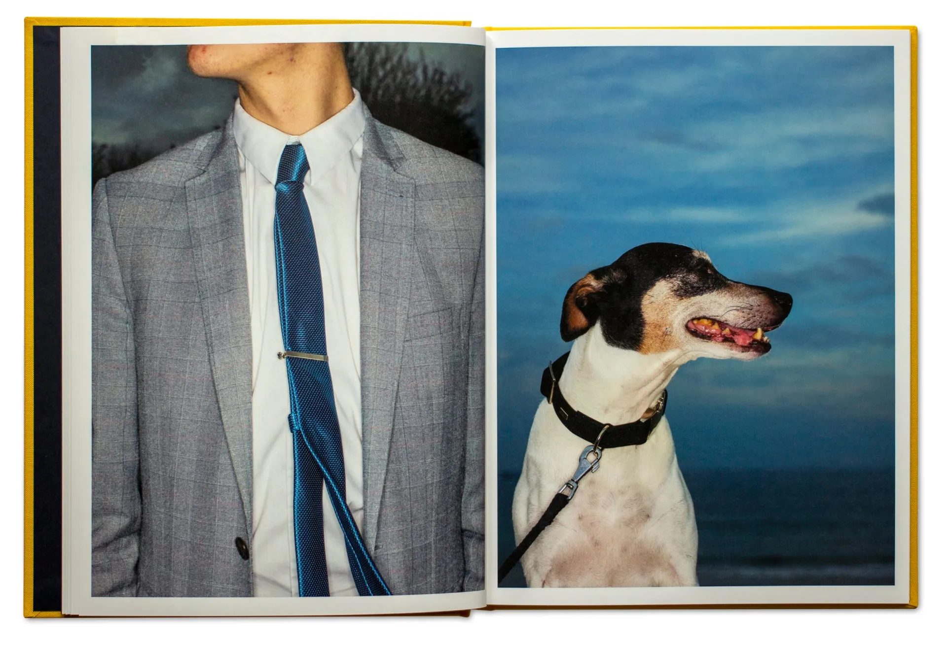 Terre à l’Amende image 4