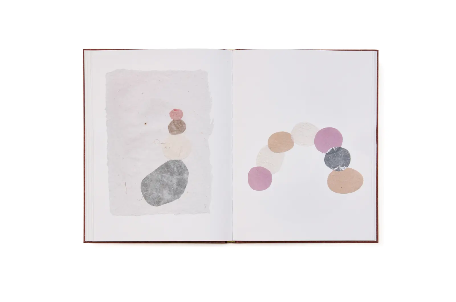 Do Insects Play? image 7