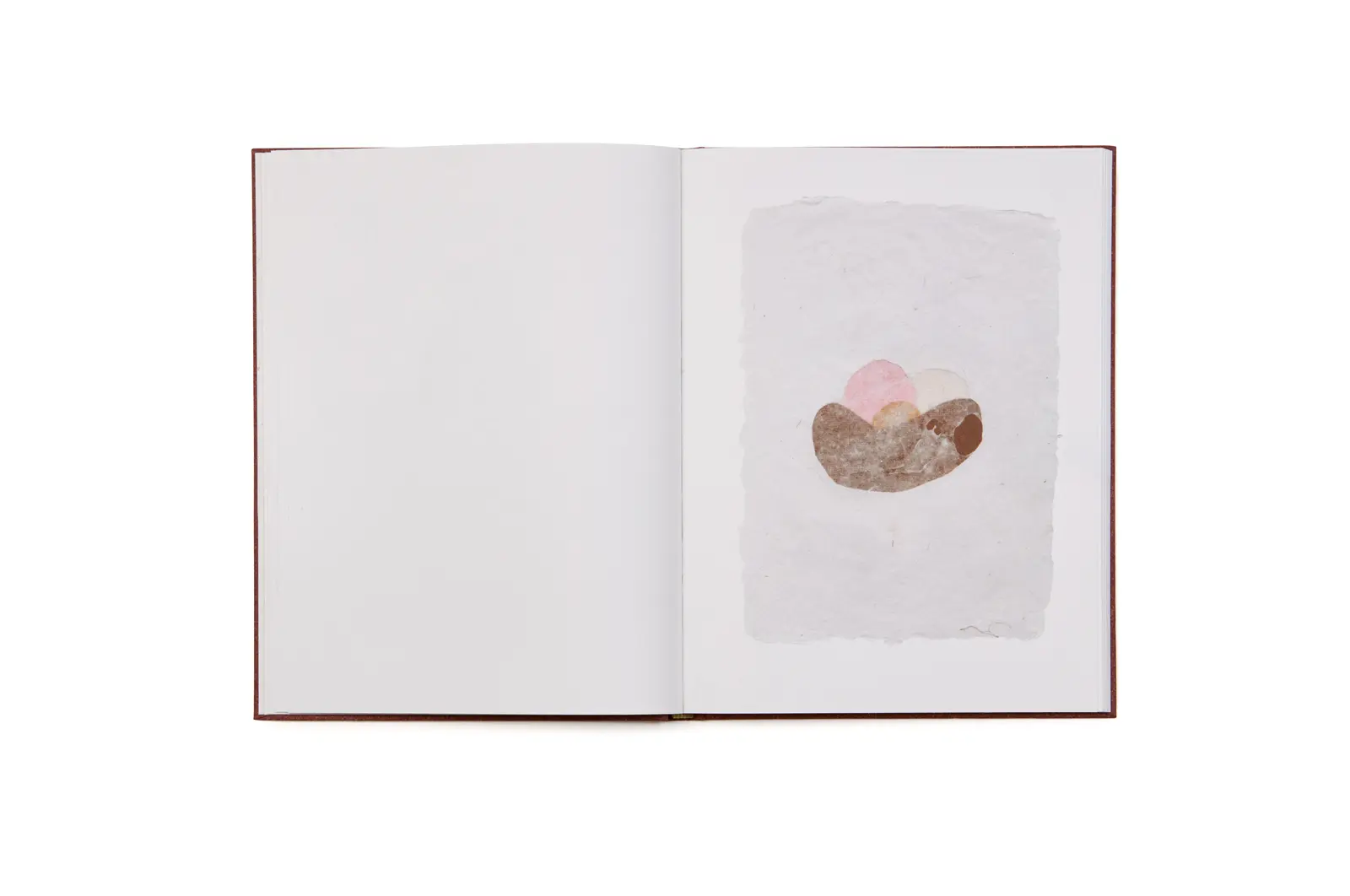 Do Insects Play? image 11