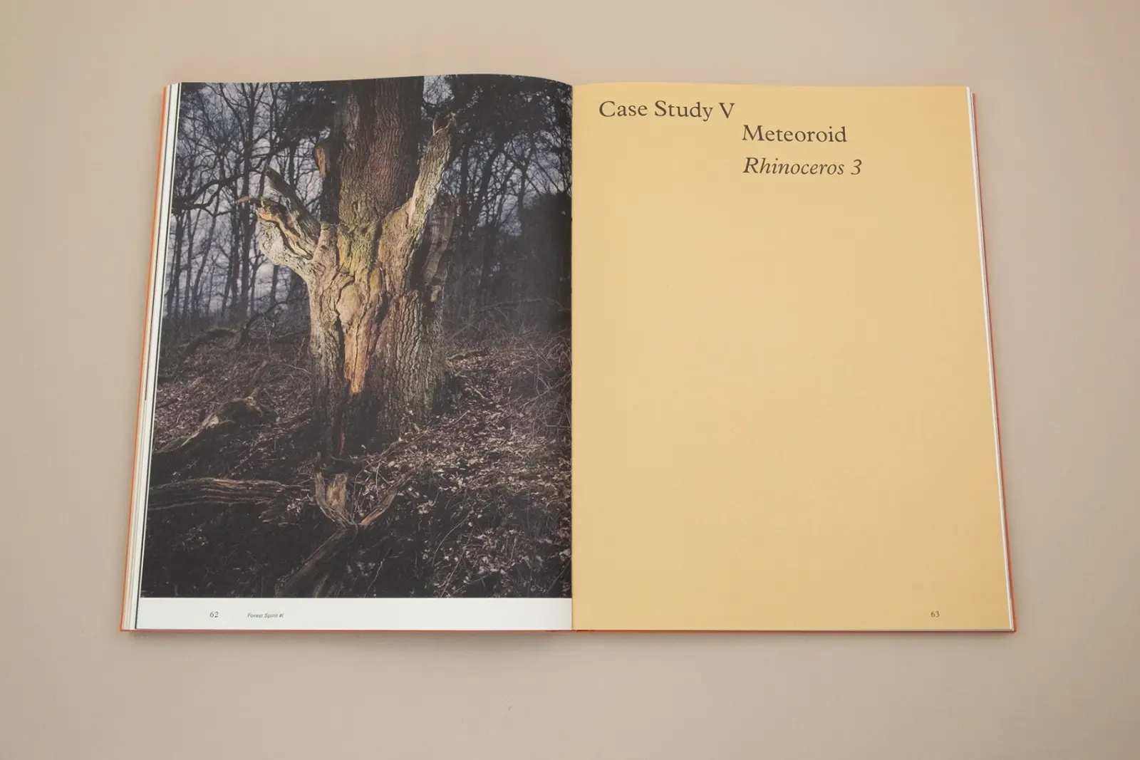 Floating Signifiers – Case studies on image, origin and representation image 4