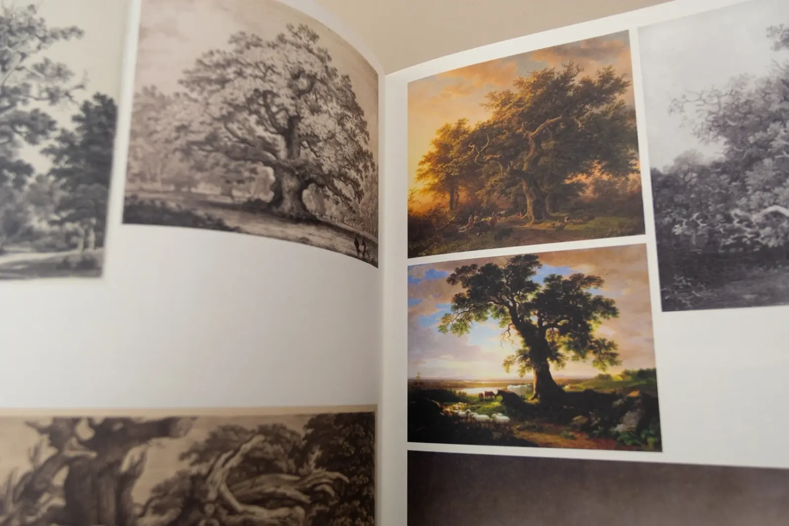 Floating Signifiers – Case studies on image, origin and representation image 6