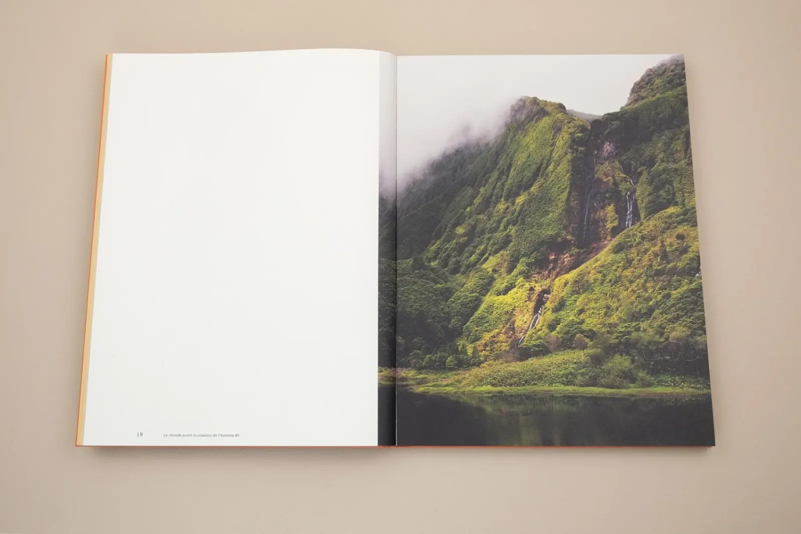 Floating Signifiers – Case studies on image, origin and representation image 2