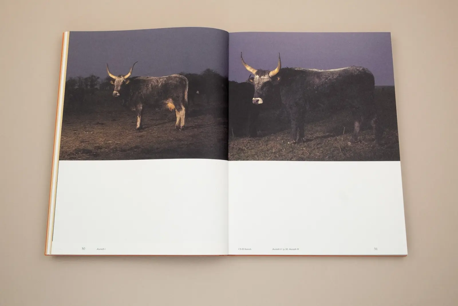 Floating Signifiers – Case studies on image, origin and representation image 5