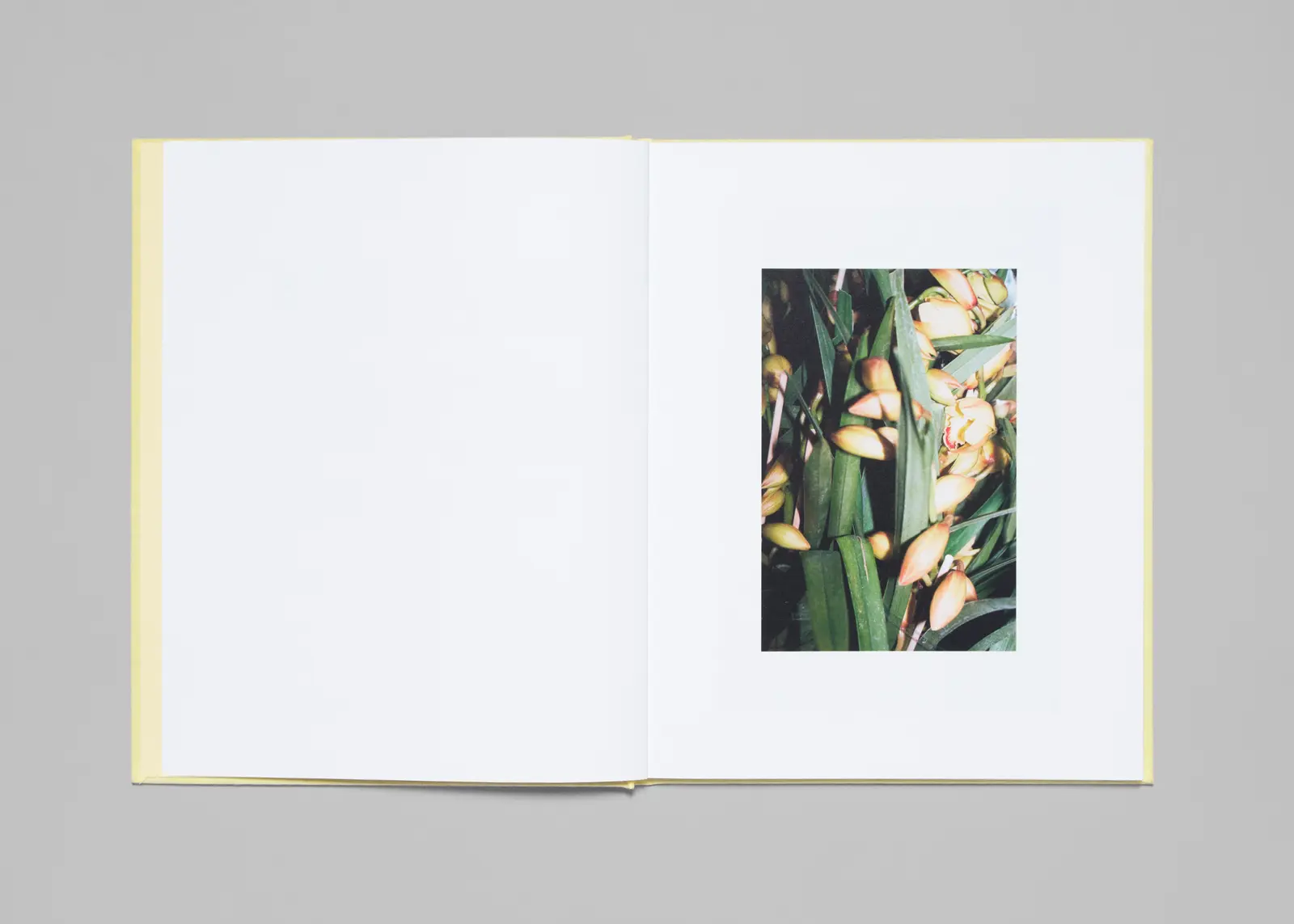 LA Flower Market image 4