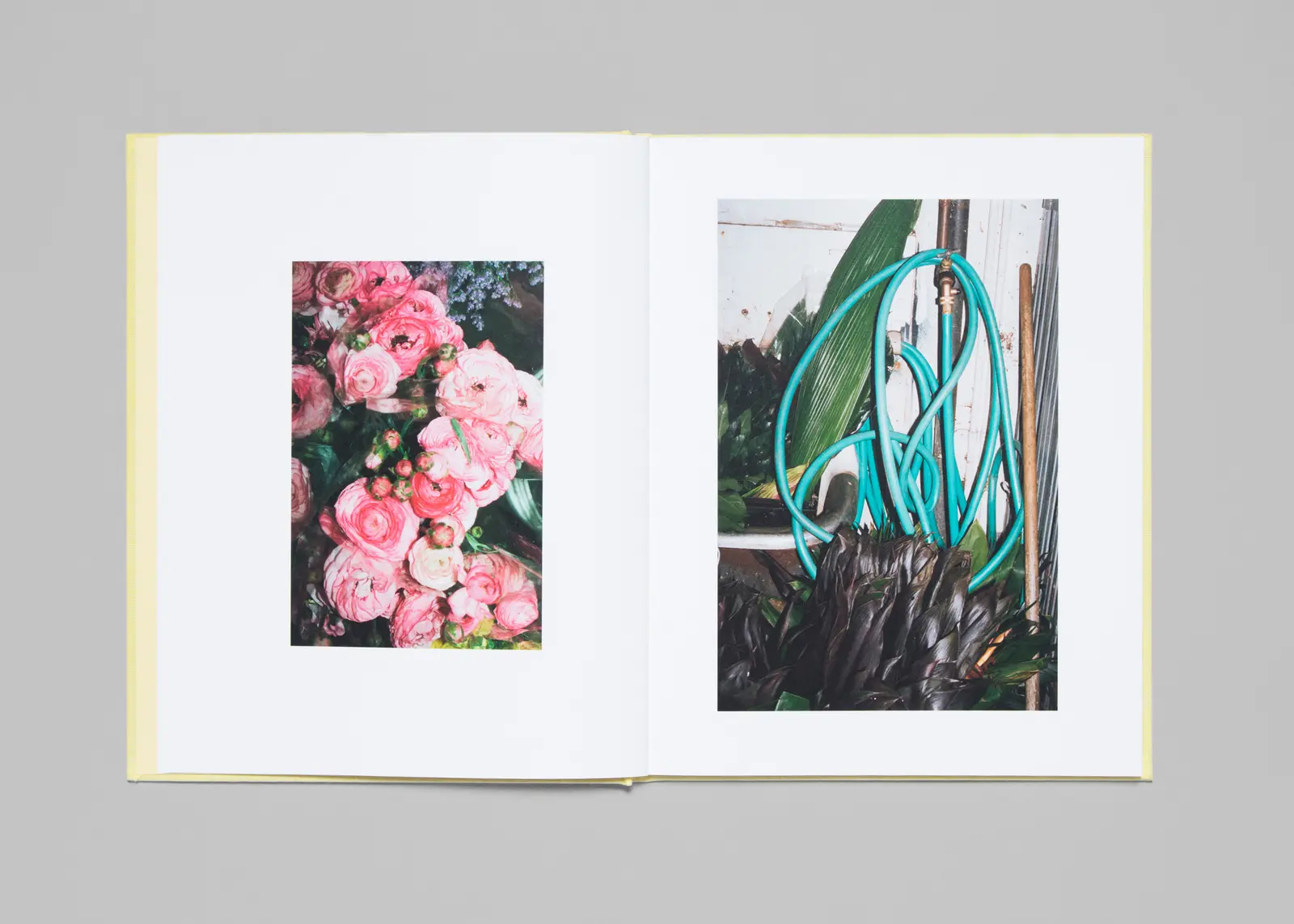 LA Flower Market image 5