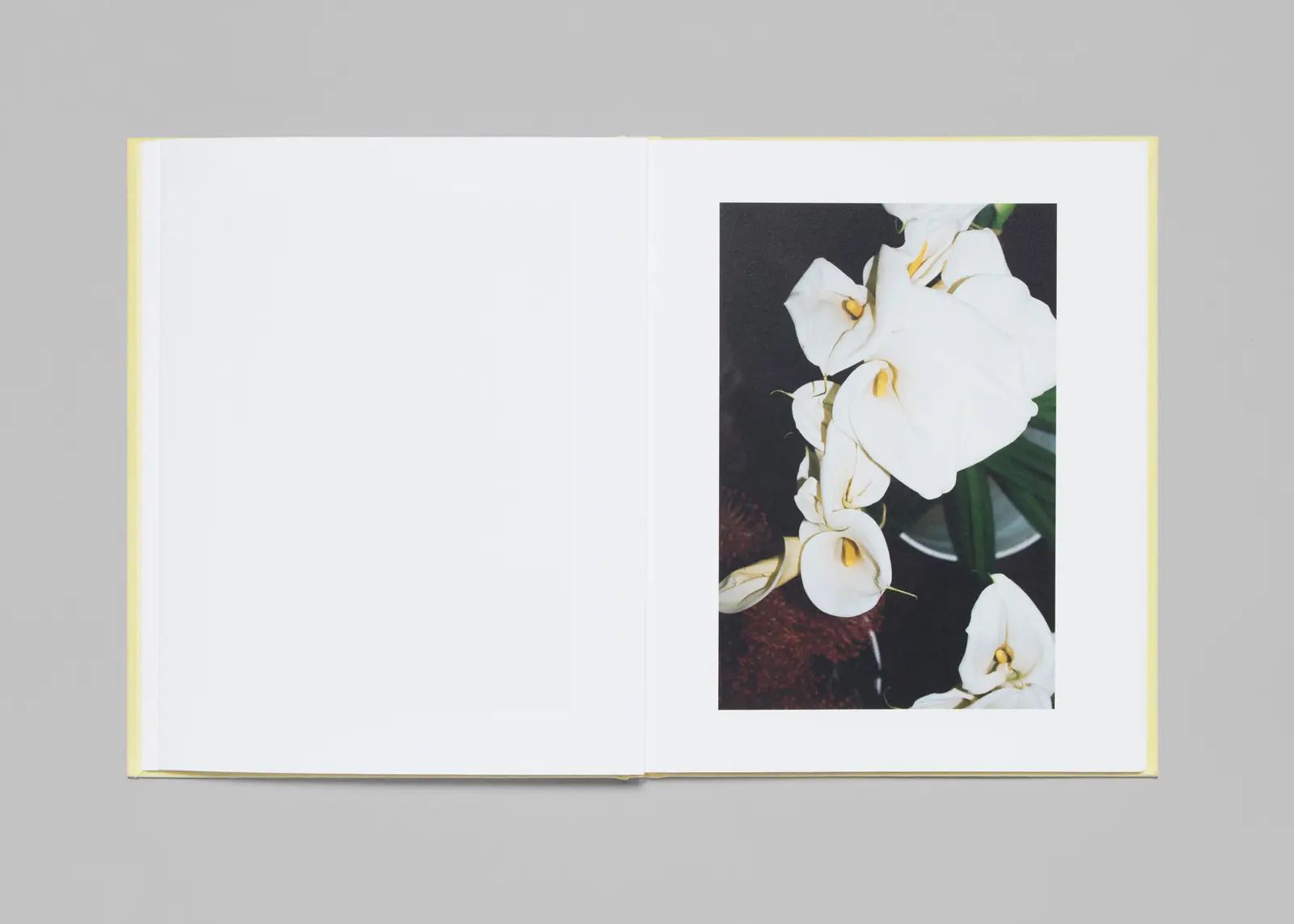 LA Flower Market image 10