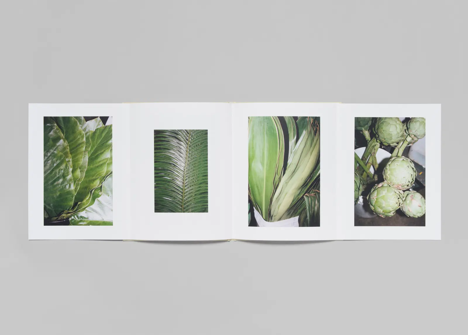 LA Flower Market image 11