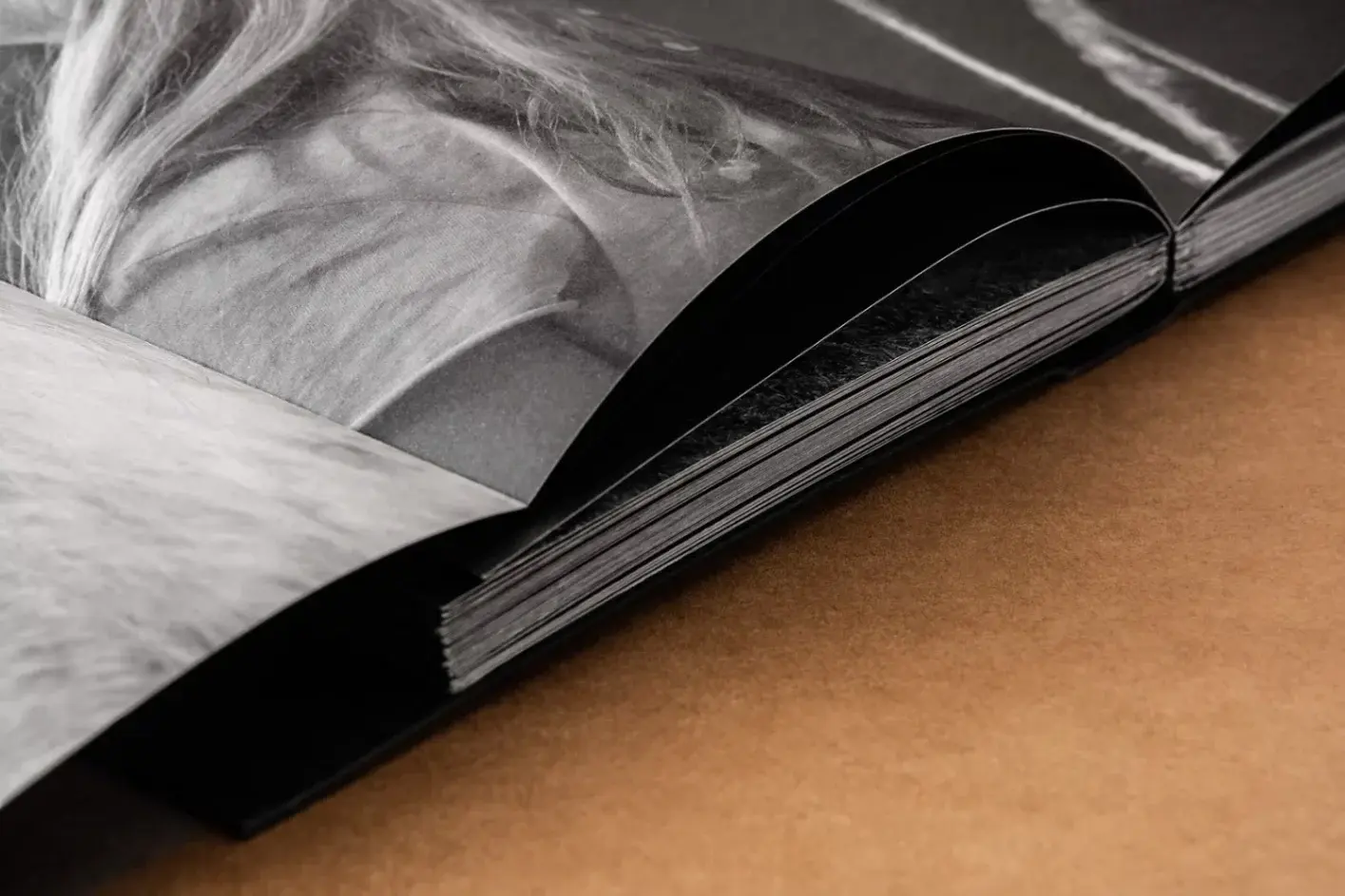 Summer's Almost Gone image 3