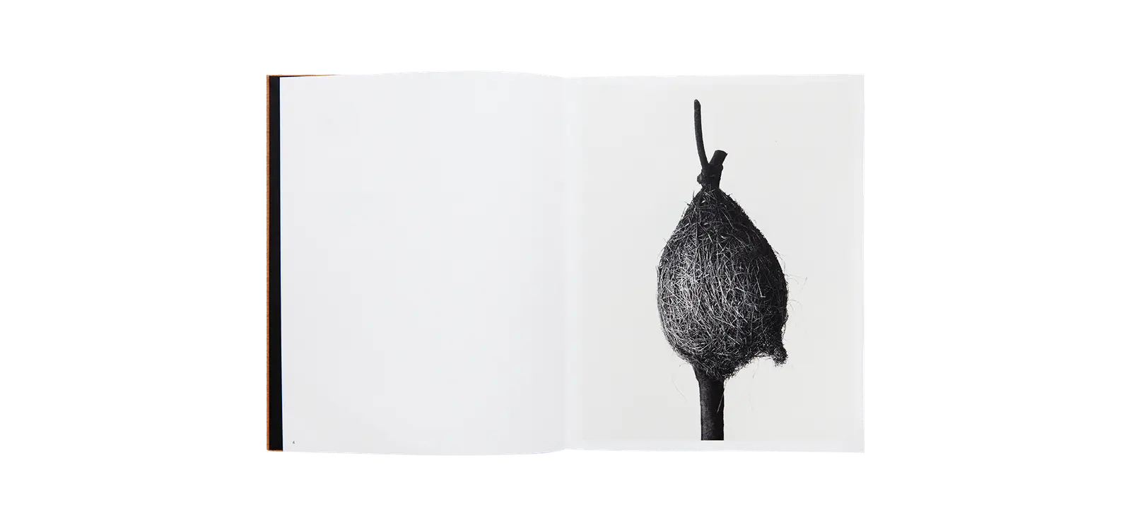 Des oiseaux - Nathalie Baetens image 2