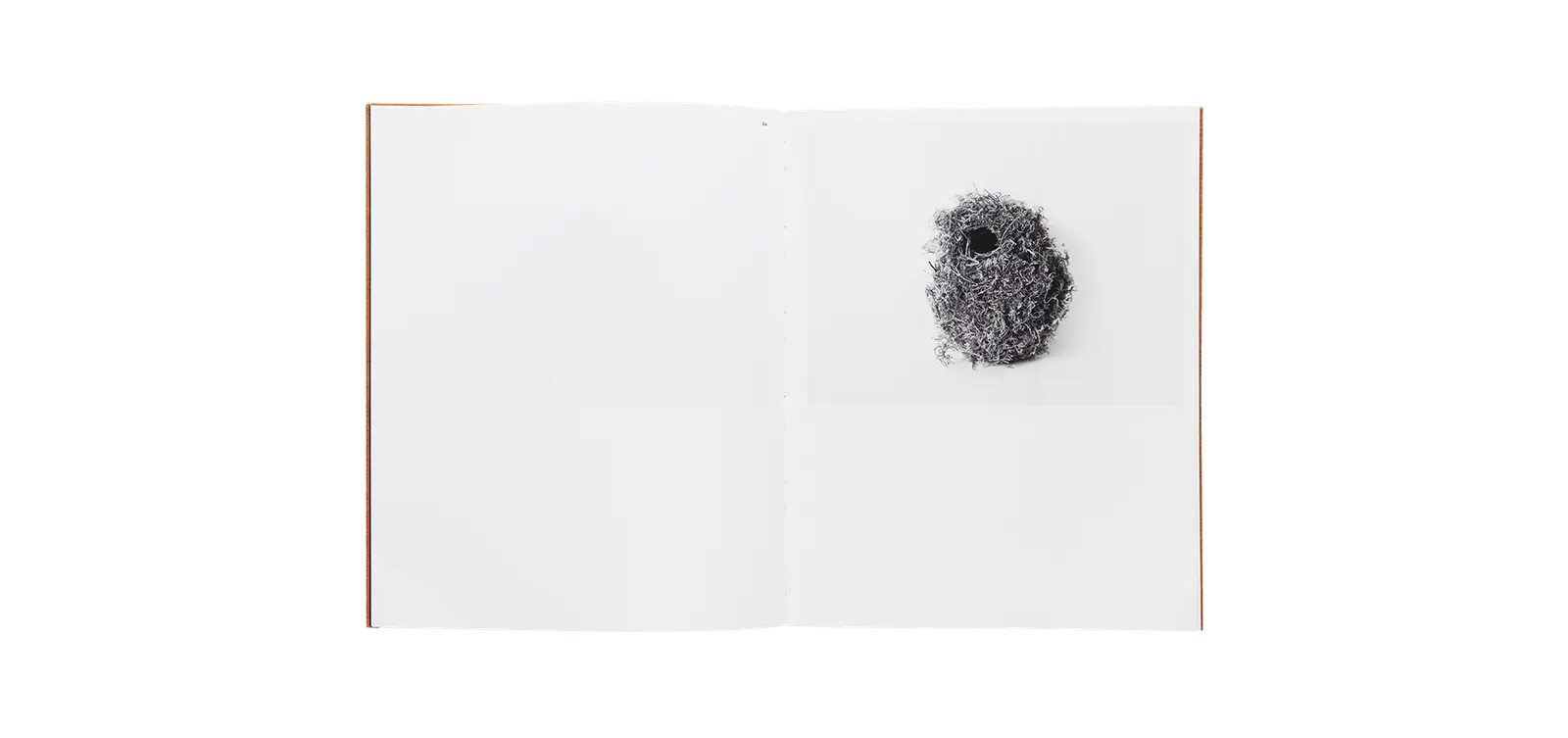 Des oiseaux - Nathalie Baetens image 5