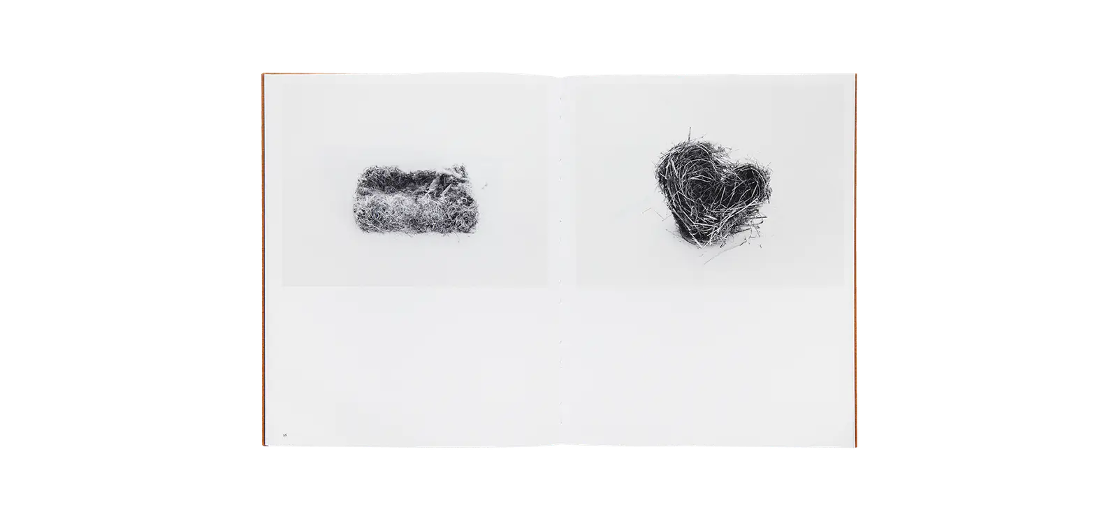 Des oiseaux - Nathalie Baetens image 8