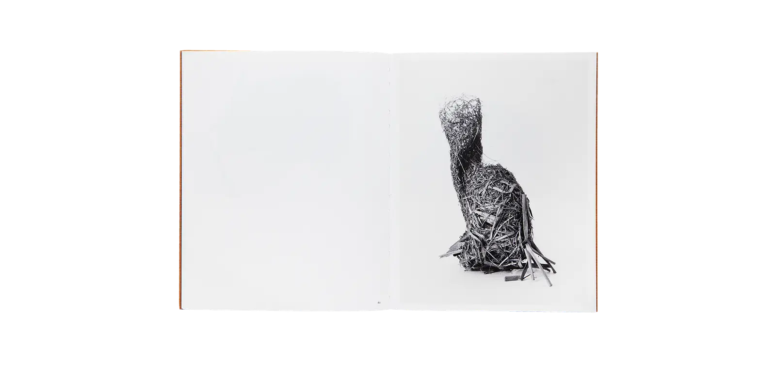 Des oiseaux - Nathalie Baetens image 9