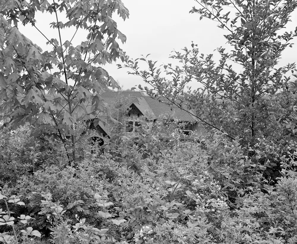 Zero Line Boundary image 5
