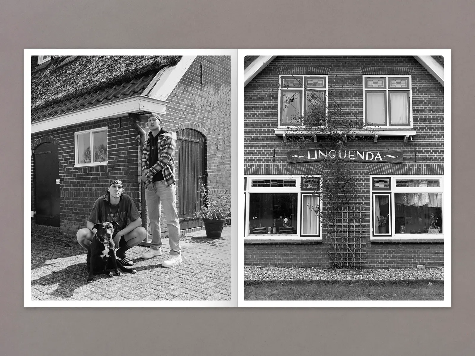 Mixedness is my Mythology image 5