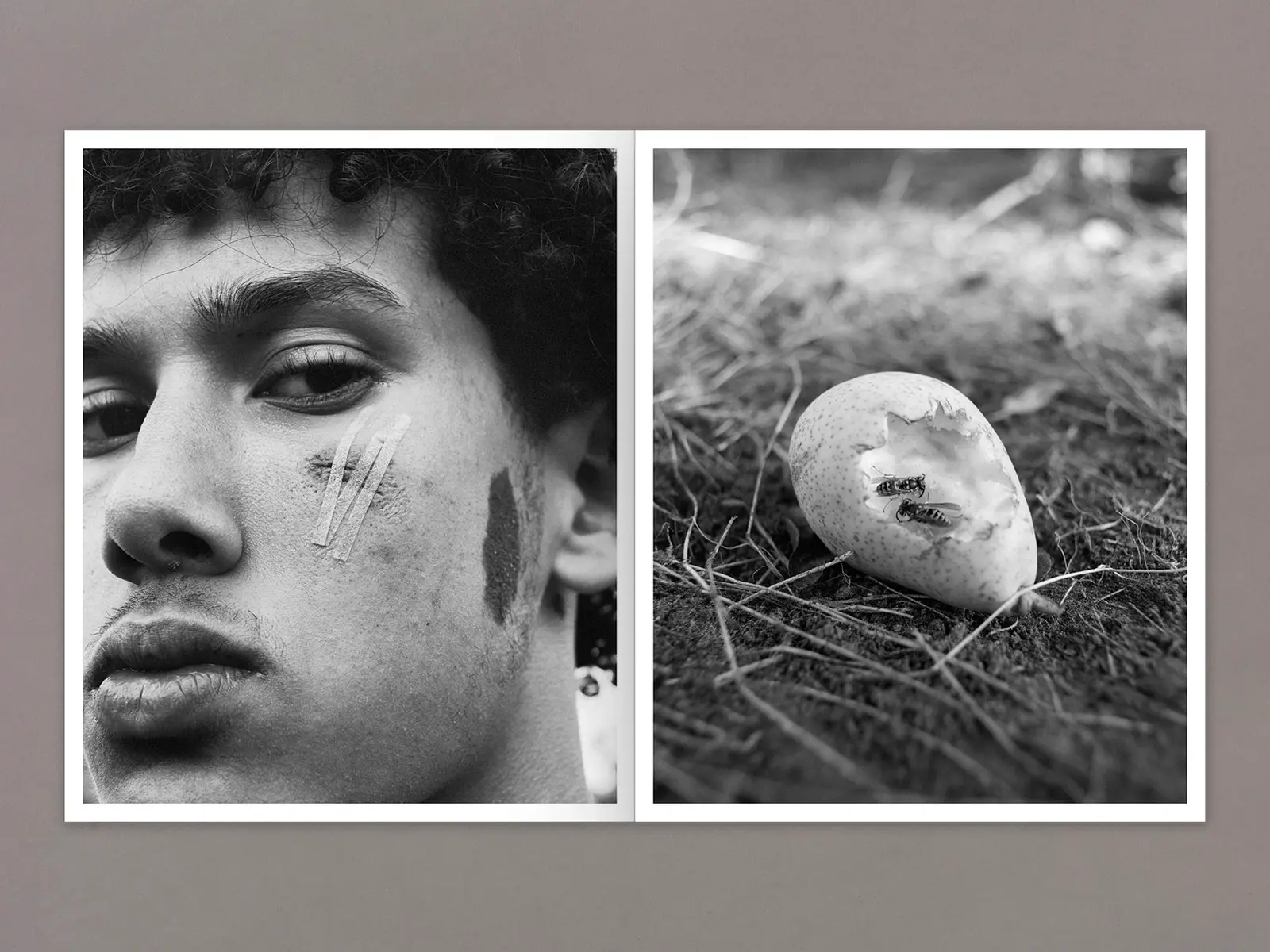 Mixedness is my Mythology image 8