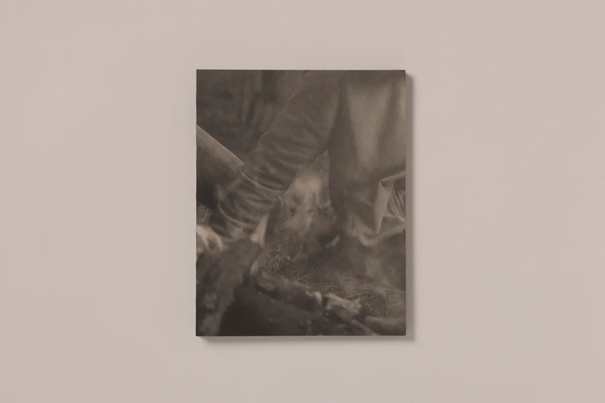 La Ronde des hirondelles