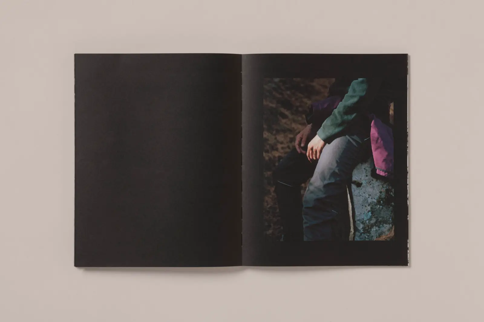 La Ronde des hirondelles image 2